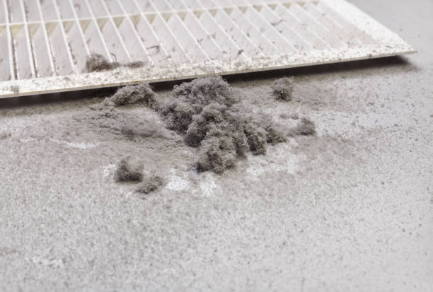 Best Home Air Vent Cleaning  in Sidney, OH