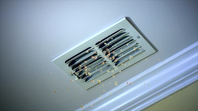 Best Air Duct Cleaning Company Near Me  in Sidney, OH