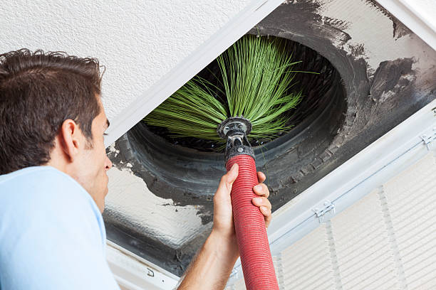 Best Dryer Vent Cleaning Services  in Sidney, OH